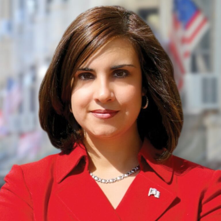 REPRESENTATIVE NICOLE MALLIOTAKIS visual data 3